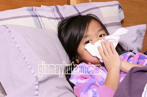 Độ ẩm không khí cao sẽ gây ra nhiều các bệnh về hô hấp...