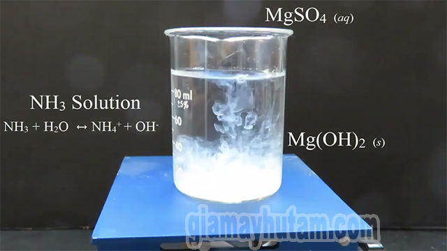 MgSO4 có nhiều tính chất hóa học
